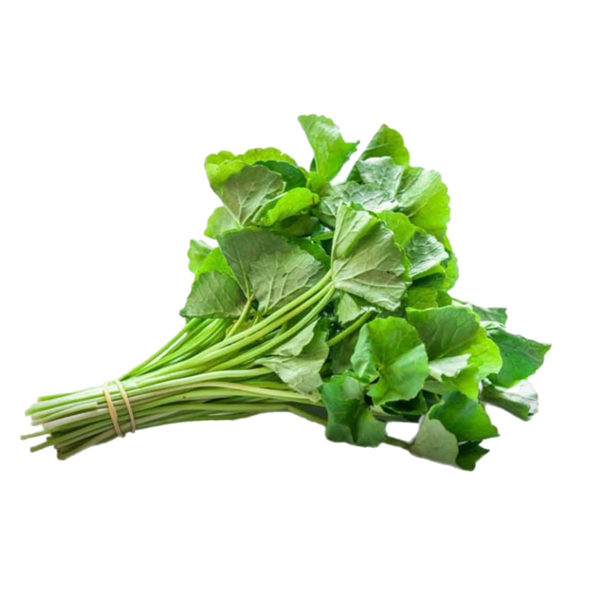 Gotukola (ගොටුකොල)