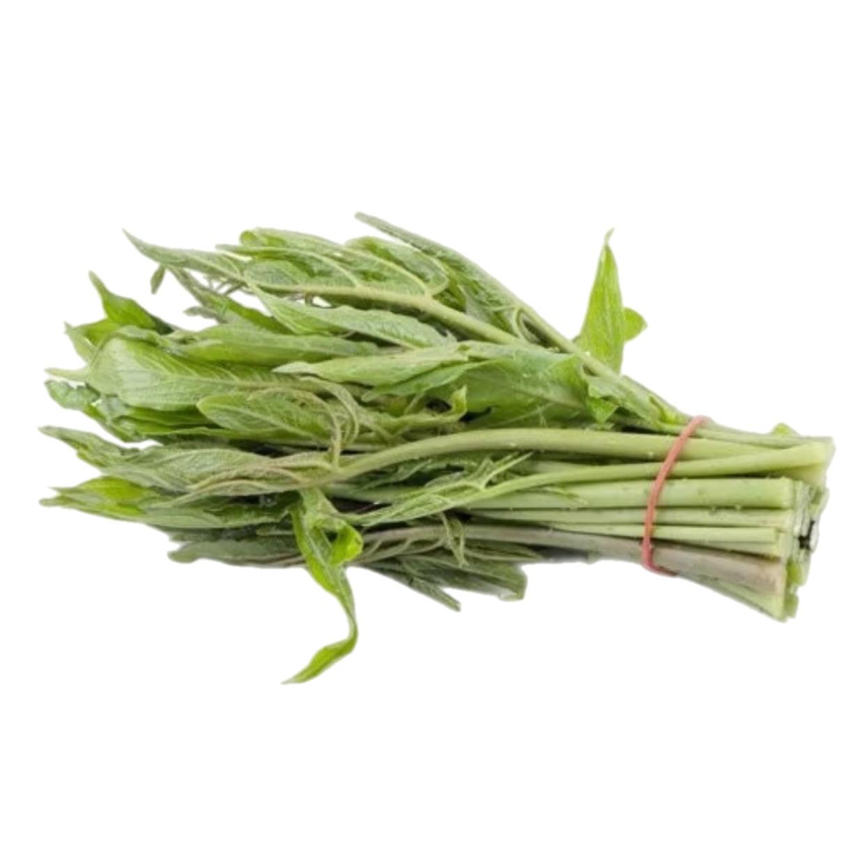 Kohila (කොහිල)